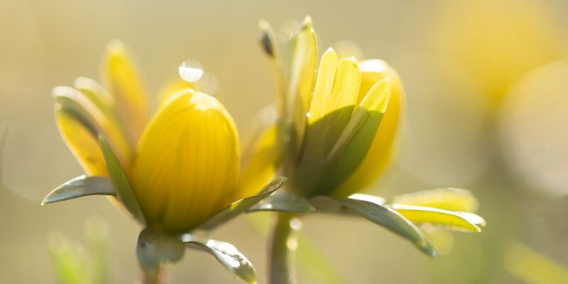 Manche Menschen reagieren stärker als andere auf Wetteränderungen. (Symbolbild) - Foto: Sebastian Kahnert/dpa