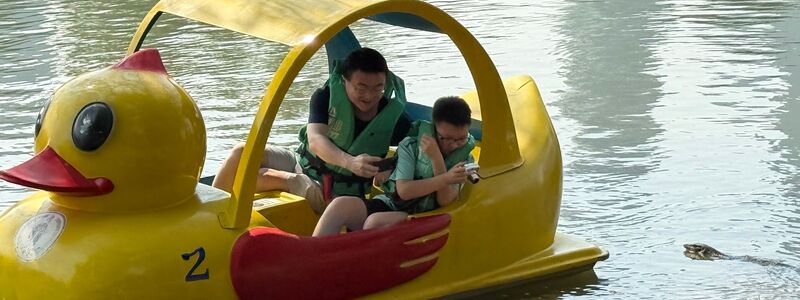 Die urzeitlichen Warane sind ein beliebtes Fotomotiv. - Foto: Carola Frentzen/dpa