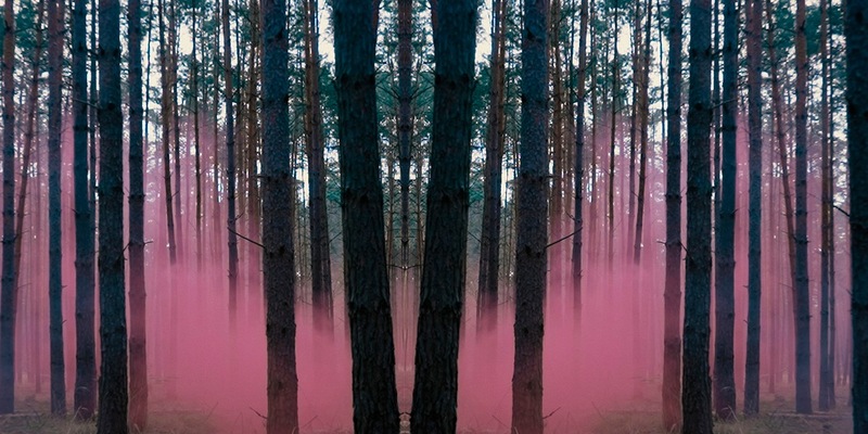 ARD Crime Time: Rosa Riese - Jagd auf ein Phantom / SWR Doku aus der Reihe ARD Crime Time ab 23.2.2026 in der ARD Mediathek, am gleichen Abend ab 23:35 Uhr im Ersten - Foto: presseportal.de