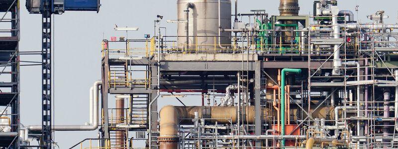 Werksgelände von BASF: Die Chemiebranche kämpft gegen hohe Energiepreise und die schwache Konjunktur. (Archivbild) - Foto: Uwe Anspach/dpa