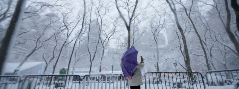 In einigen Parks der Stadt entstanden ganze Armadas von Schneefiguren. - Foto: Seth Wenig/AP/dpa