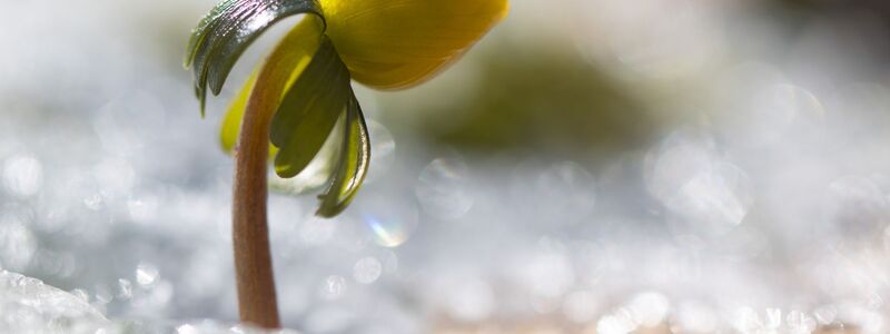 Bis 20 Grad und sogar noch wärmer kann es stellenweise werden. (Archivbild) - Foto: Sebastian Kahnert/dpa
