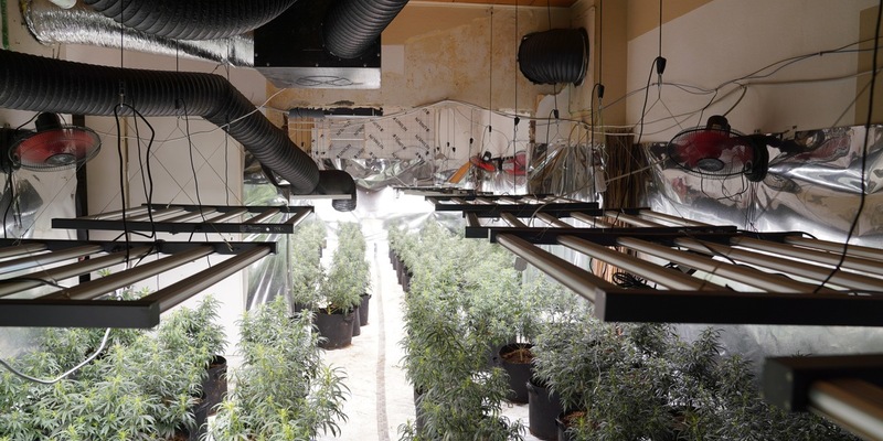 POL-GE: Cannabisplantage in leerstehendem Mehrfamilienhaus entdeckt - Foto: presseportal.de