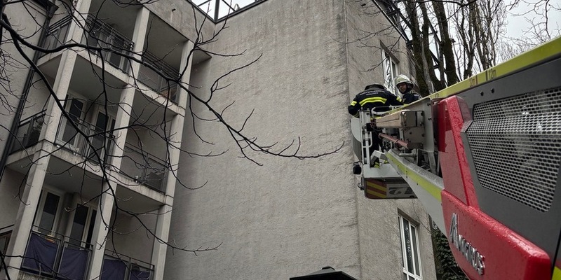 FW-M: Schwan auf Abwegen (Schwabing) - Foto: presseportal.de