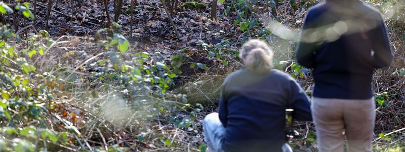 In diesem Waldstück in Duisburg wurde die Leiche einer Frau gefunden. - Foto: Christoph Reichwein/dpa
