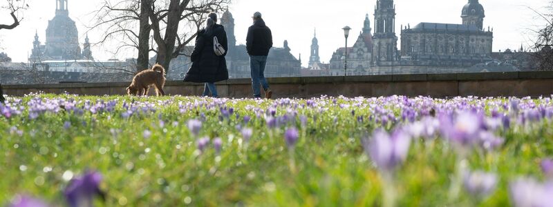 Frühlingshaftes Wetter kündigt sich schon vor dem meteorologischen Frühlingsbeginn am 1. März an. - Foto: Sebastian Kahnert/dpa