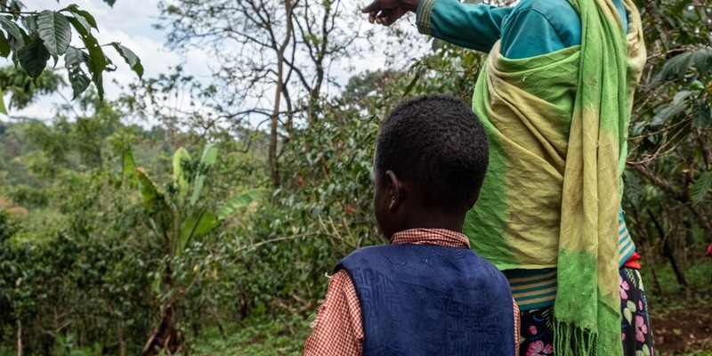In immer mehr Ländern sind Kinder vor der weltweit häufigsten Augenerkrankung geschützt - Foto: presseportal.de