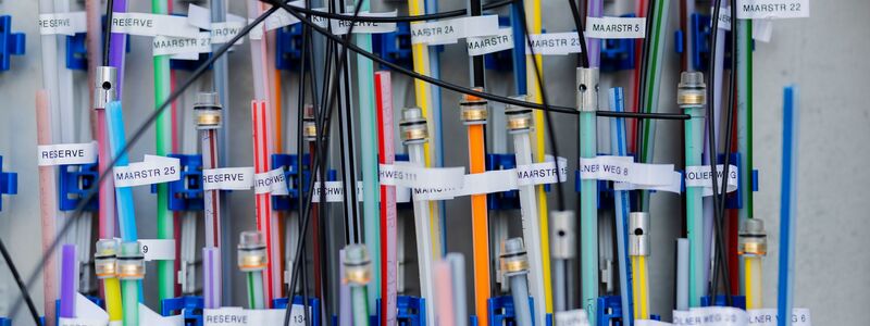 Glasfaserkabel in einem Schaltkasten. - Foto: Rolf Vennenbernd/dpa