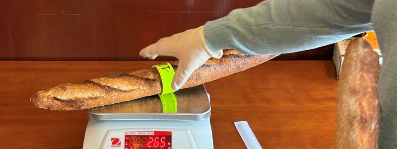 Für den Baguette-Wettbewerb werden die Brote kritisch begutachtet. - Foto: Michael Evers/dpa