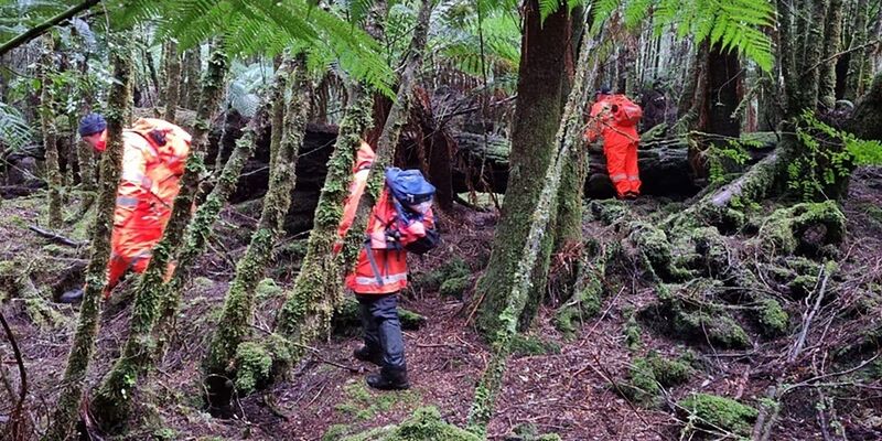 Einsatzkräfte suchten 2023 die dichten Wälder Tasmaniens nach der 31-Jährigen ab. (Archivbild) - Foto: Supplied/TASMANIA POLICE/AAP/dpa