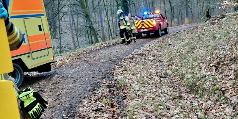 FW Weinheim: Schwerer Reitunfall im Wald - Einsatzkräfte retten Patientin unter schwierigen Bedingungen - Foto: presseportal.de