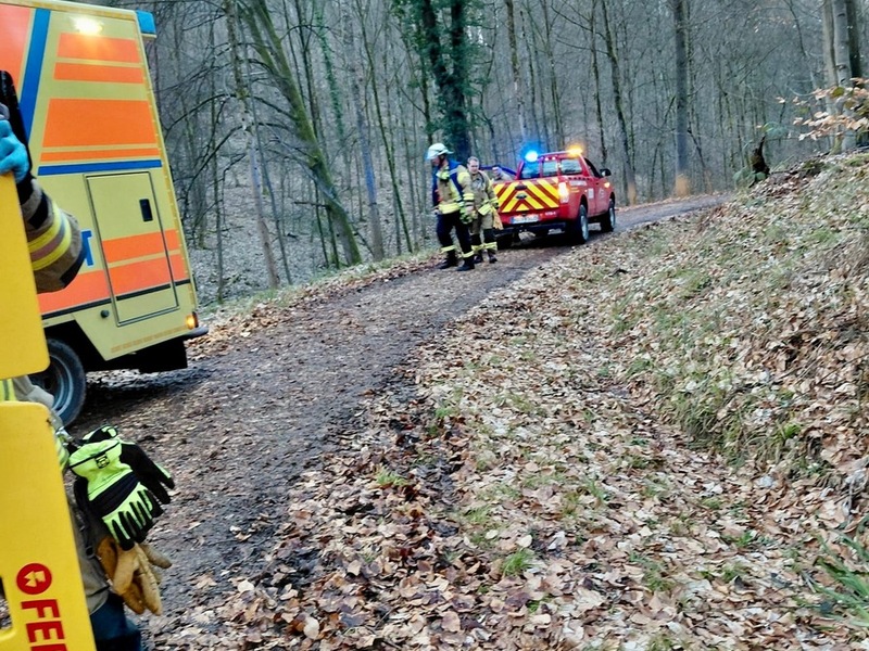 FW Weinheim: Schwerer Reitunfall im Wald - Einsatzkräfte retten Patientin unter schwierigen Bedingungen - Foto: presseportal.de