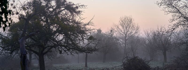 Zum Sonnenaufgang war's zum Teil noch neblig - wie hier in Wiesbaden. - Foto: Sascha Ditscher/dpa