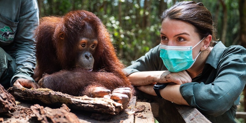 ZDF zeigt Orang-Utan-Auswilderung auf Borneo in Terra X - Foto: presseportal.de