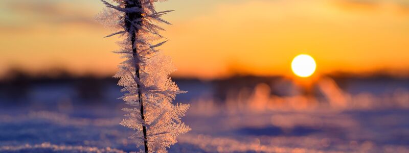 Die Sonne hat deutlich mehr Stunden eingesammelt als im Vergleichszeitraum. (Archivbild) - Foto: Patrick Pleul/dpa