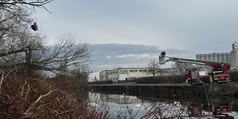 POL-NB: Tierischer Einsatz für Polizei und Feuerwehr in Malchin (LK MSE) - Foto: presseportal.de