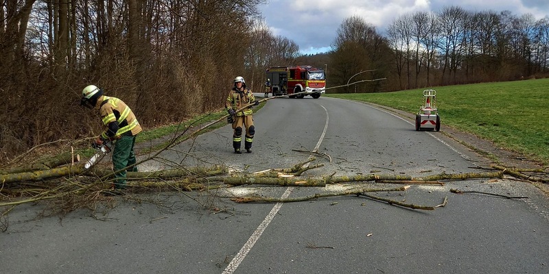FW-EN: Katzenrettung und umgefallener Baum am Samstag - Foto: presseportal.de