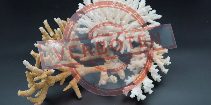 HZA-A: Zoll hilft bedrohte Tiere und Pflanzen zu schützen / 3. März 2026: Tag des Artenschutzes - Foto: presseportal.de