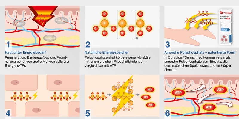 Neuer Wirkstoff versorgt Haut mit Energie / Amorphe Polyphosphate unterstützen Hautregeneration - Foto: presseportal.de