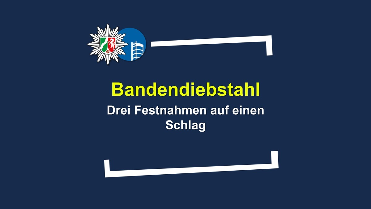 POL-OB: Gemeinsamer Bandendiebstahl - drei Festnahmen auf einen Schlag - Foto: presseportal.de
