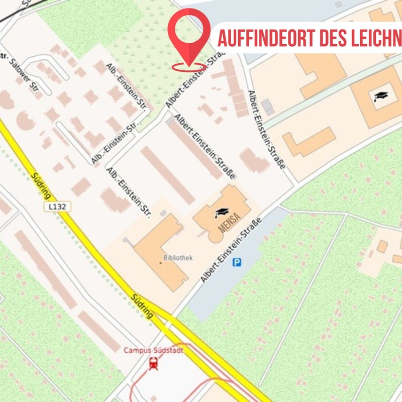 POL-HRO: Ermittlungsergebnisse im Fall des am 28.02.2026 aufgefundenen Leichnams - Ergänzung zum Zeugenaufruf (Fotos) - Foto: presseportal.de