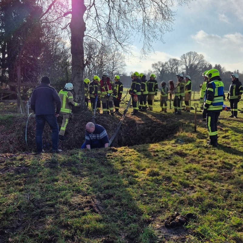FW-OLL: Pferdrettung aus Graben - Foto: presseportal.de