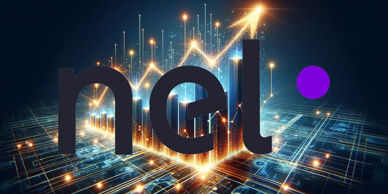 Nel ASA: La paradoja de un desplome financiero ante una cartera récord - Foto: über boerse-global.de