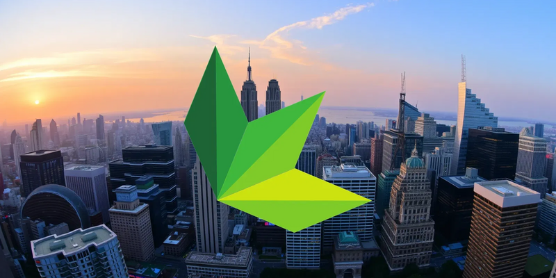 Danimer Scientific Aktie: Das Ende - Foto: über boerse-global.de