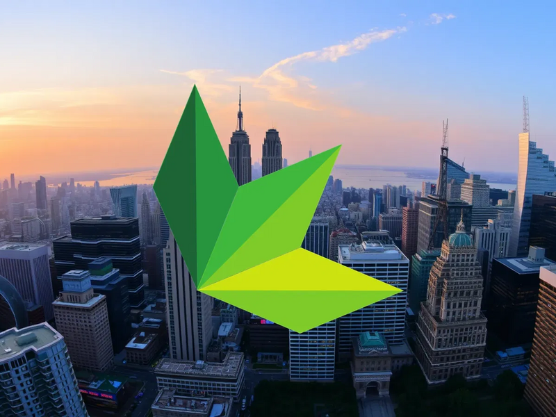 Danimer Scientific Aktie: Das Ende - Foto: über boerse-global.de