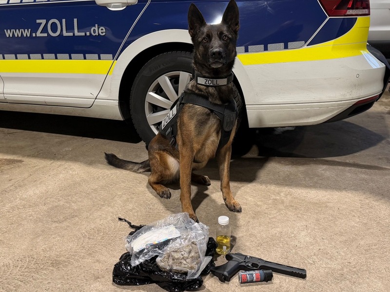 HZA-BI: Kokain in Kissen versteckt/Zollhündin Skadi enttarnt Schmuggelversuch auf A2 bei Bielefeld - Foto: presseportal.de