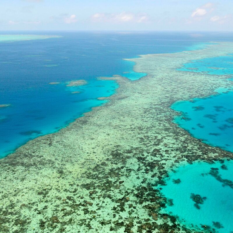 Das Great Barrier Reef gehört zu den größten Naturwundern der Erde - Haiangriffe sind hier aber selten. (Archivbild) - Foto: Uncredited/Kyodo News via AP/dpa