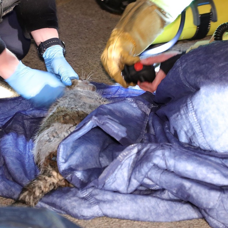 FW Dresden: Brennende Couch in Wohnung - Foto: presseportal.de