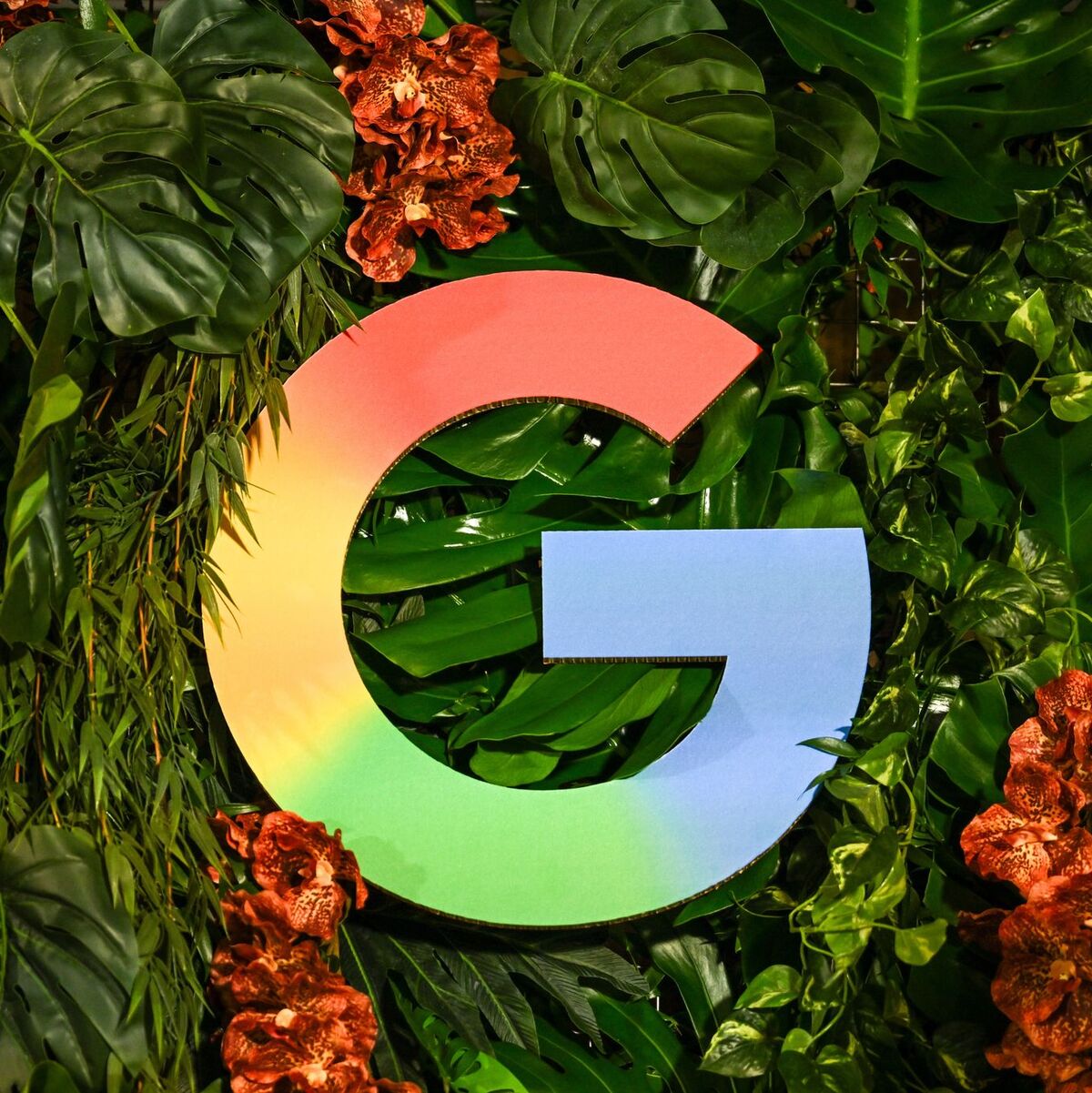  Google hat in Berlin ein Zentrum für Künstliche Intelligenz eröffnet. - Foto: Britta Pedersen/dpa