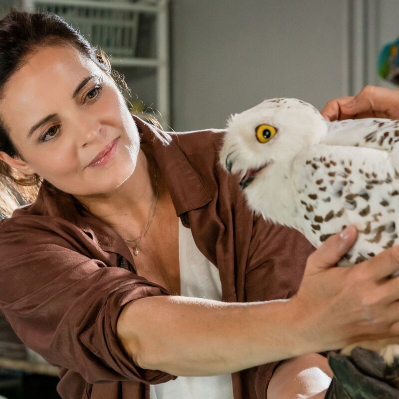 Elisabeth Lanz spielt schon seit 2006 die Tierärztin Dr. Susanne Mertens für die ARD. (Archivbild) - Foto: Steffen Junghans/ARD/dpa
