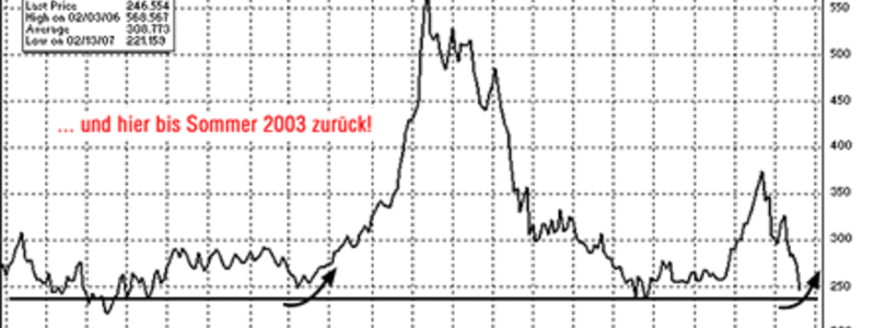 Die Stimme aus Zürich - Foto: 