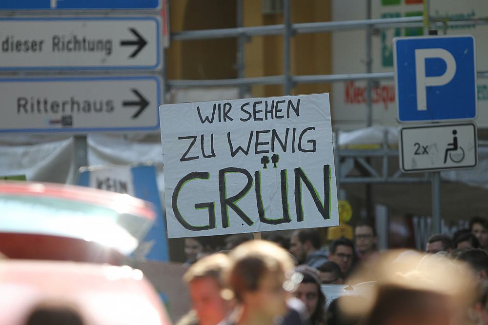 Protest von Fridays-For-Future (Archiv)