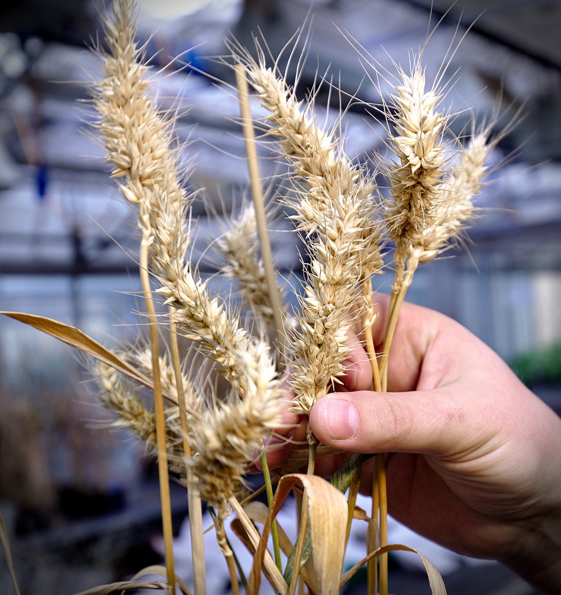 Das Saarland ist erstes Fairtrade-Bundesland