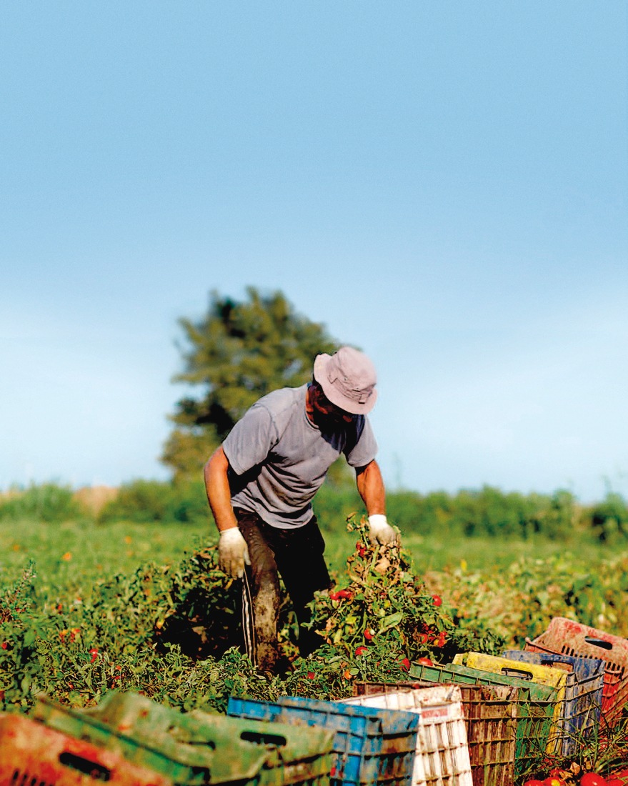 Paulaner Brauerei Gruppe treibt internationales Wachstum durch eine strategische Partnerschaft mit Tsingtao in China voran