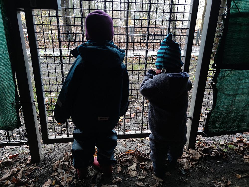 Kinder hinter einem Gitter
