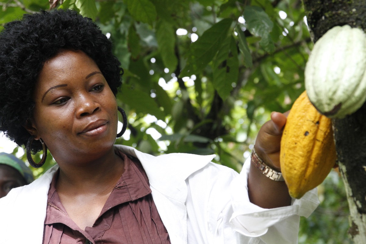 Sönke Wortmanns DIE ÄLTERN begeistert das Premierenpublikum