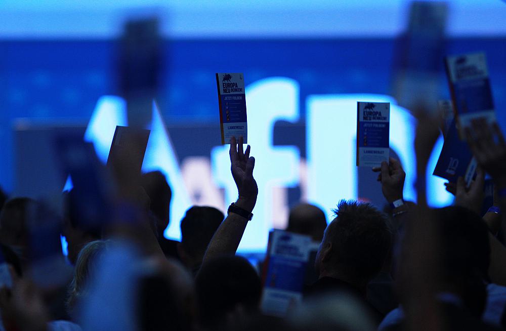 Abstimmung auf AfD-Parteitag (Archiv)