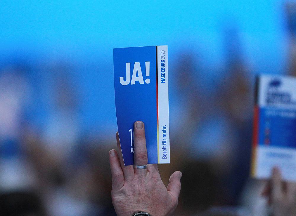 Abstimmung auf AfD-Parteitag (Archiv)