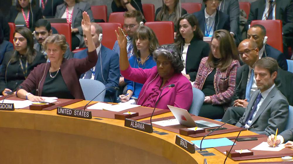 Abstimmung im UN-Sicherheitsrat am 15.11.2023
