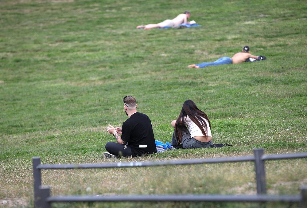 Junge Leute in einem Park (Archiv)