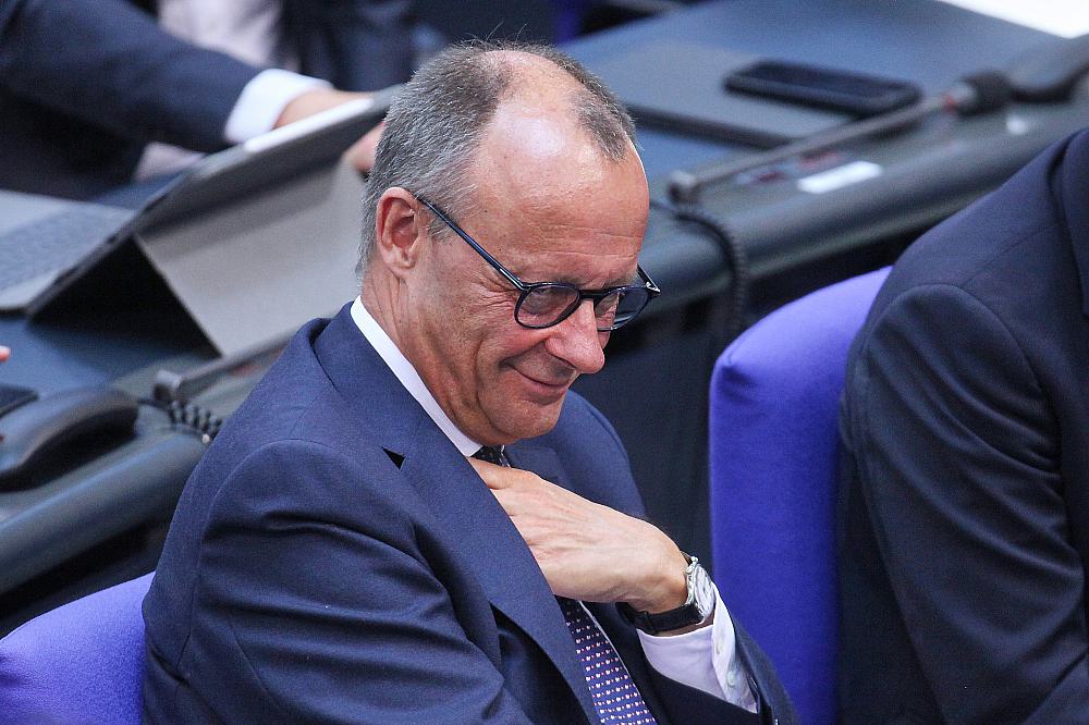 Friedrich Merz (Archiv)