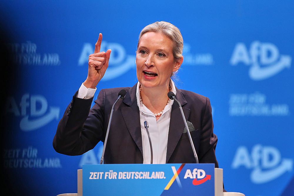 Alice Weidel (Archiv)