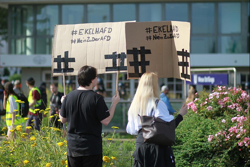 Protest gegen die AfD (Archiv)