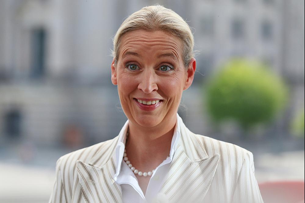 Alice Weidel am 20.07.2025