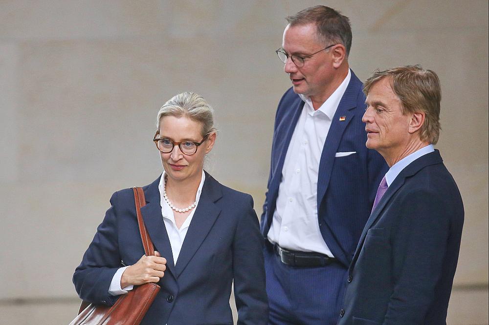 Alice Weidel, Tino Chrupalla und Bernd Baumann (Archiv)