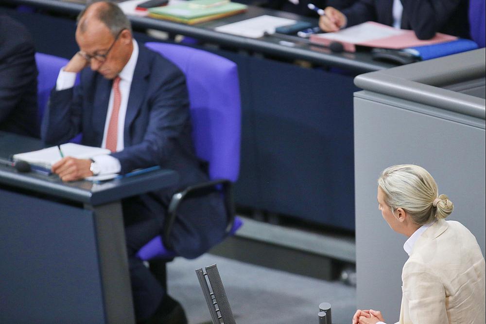 Friedrich Merz und Alice Weidel (Archiv)